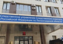 Следственный отдел по городу Гатчине СУ СК России по Ленинградской области проводит доследственную проверку в связи с обнаружением тел двух человек, предположительно, мужчины и женщины, после пожара в поселке Тайцы Гатчинского района. Об этом сообщили в телеграм-канале ведомства.