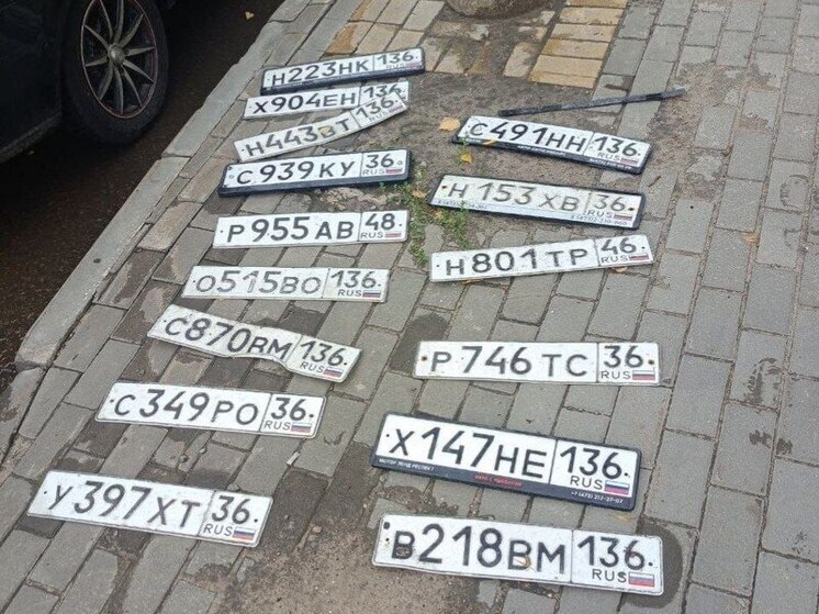 После мощного ливня воронежские автомобилисты массово лишились номеров