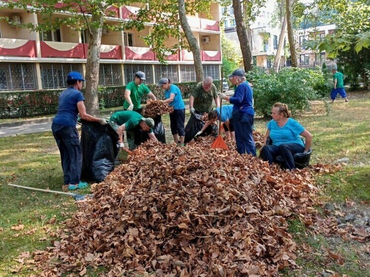 В Адлерском районе Сочи проходят еженедельные мероприятия по наведению санитарного порядка