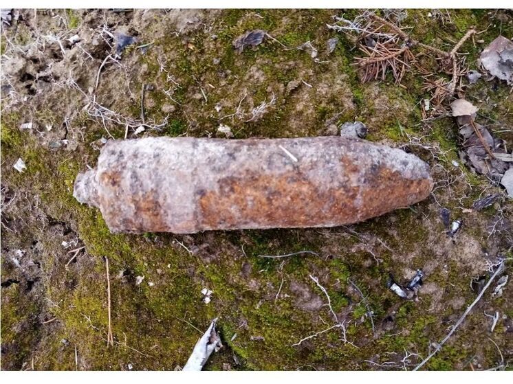 В Смоленских Быльниках нашли снаряд времен войны