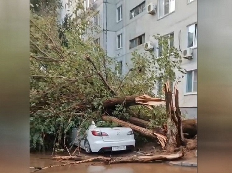 Мощный ливень и штормовой ветер обрушились на Волгоград 4 августа