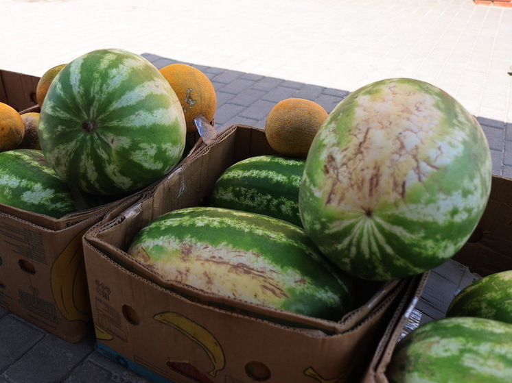 В Новосибирске женщина прогнала с обочины мигранта и разнесла его прилавок