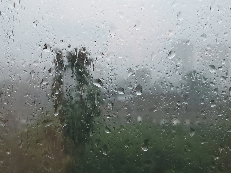 Тишковец: 28 литров дождевой воды на метр квадратный выпало в Москве