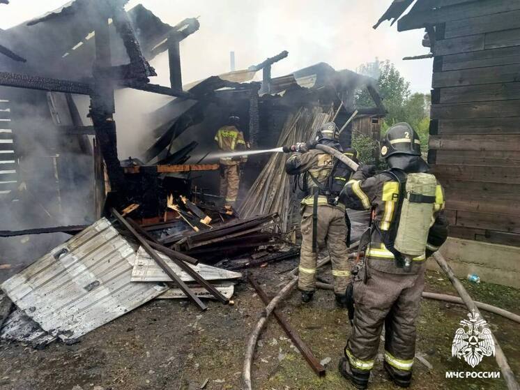 Жилой дом, баня и хозпостройка сгорели на частном подворье в селе на Алтае