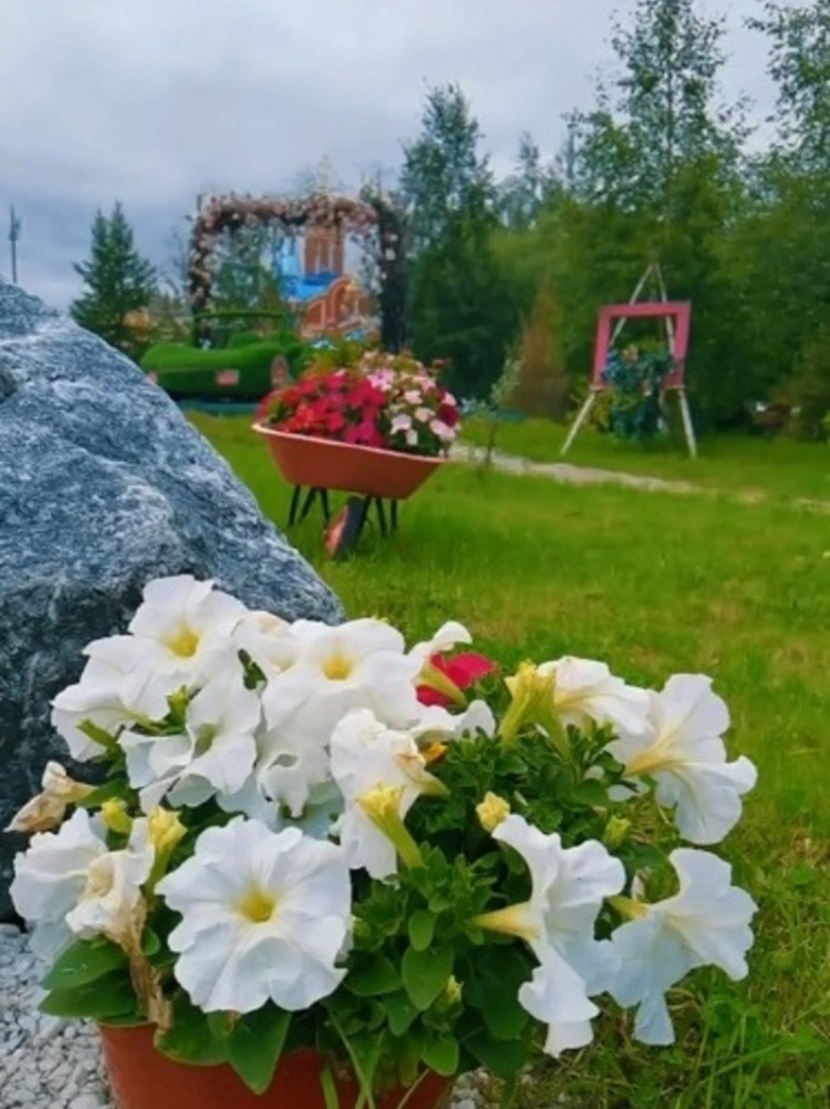 Самые ухоженные и чистые дворы выберут в Новом Уренгое