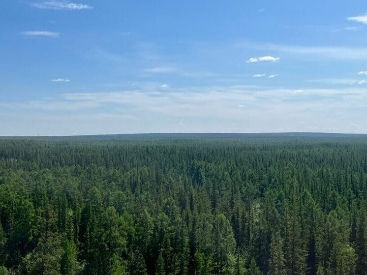 Якутия готова присоединиться к эксперименту по углеродной нейтральности