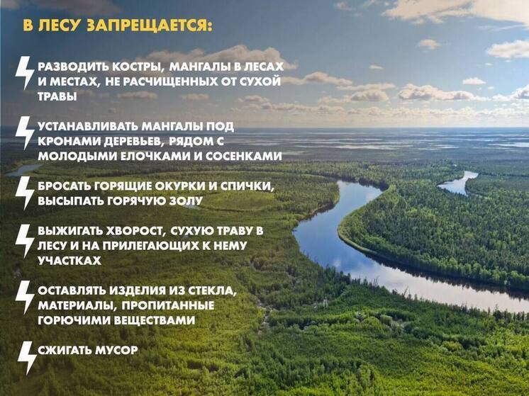 Высокий уровень пожарной опасности прогнозируют в лесах Пуровского района