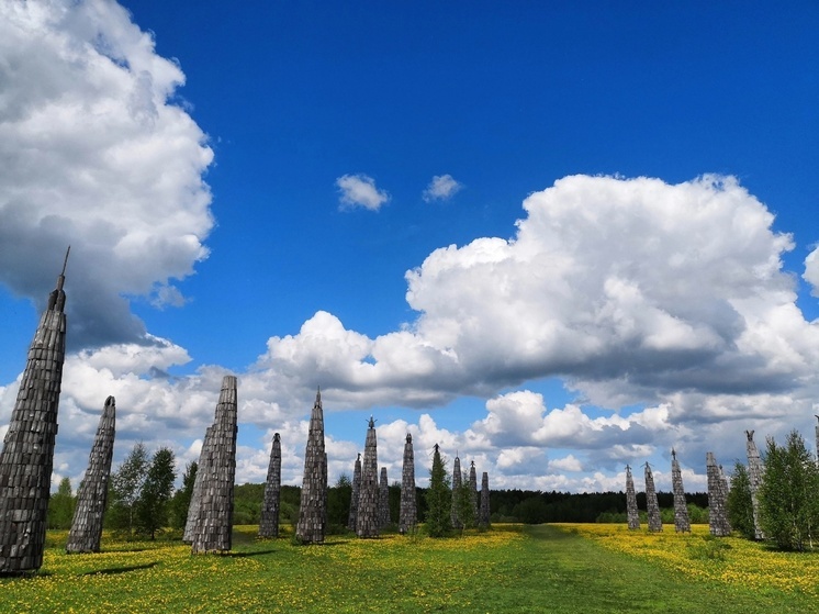 Владельцы калужского арт-парка попросили не комментировать решения властей