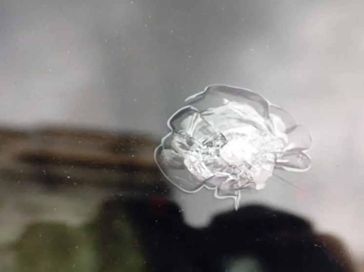 Житель Хакасии по пьяни обстрелял четыре автомобиля с балкона