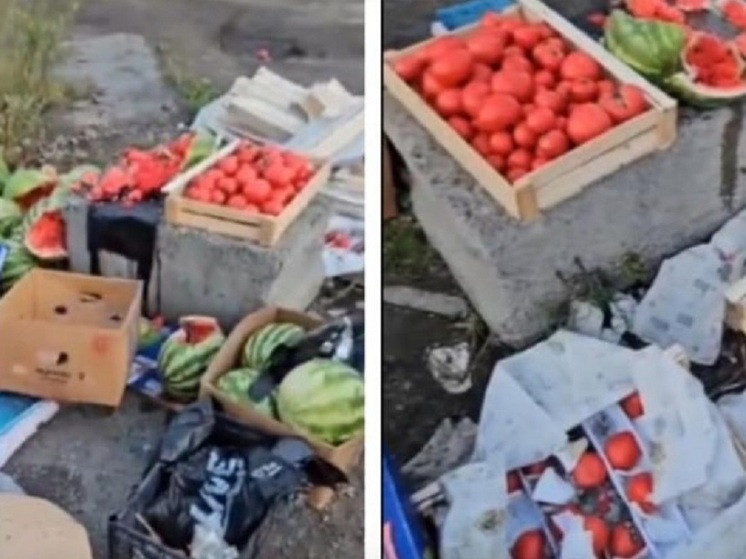 Жительница Хилка в Новосибирске устроила погром в палатке мигрантов
