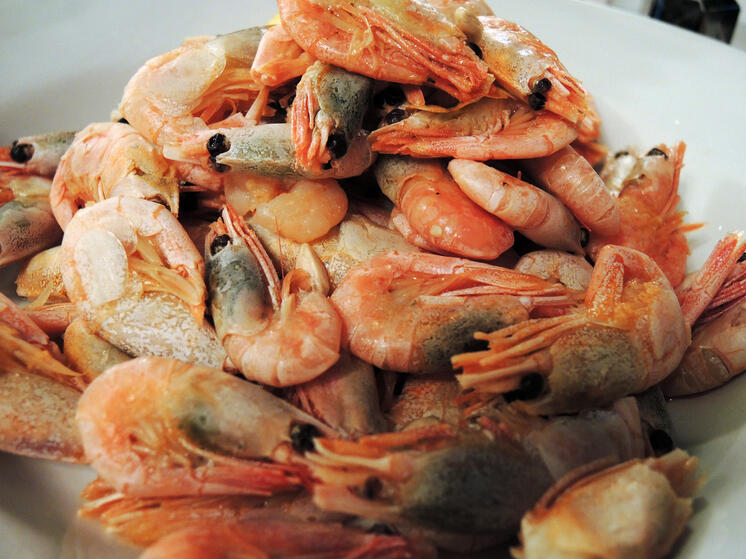 Десятки российских туристов отравились морепродуктами на дорогом Кубинском курорте