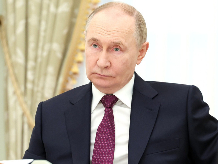 Кошкович: Зеленский должен принять условия мира Путина