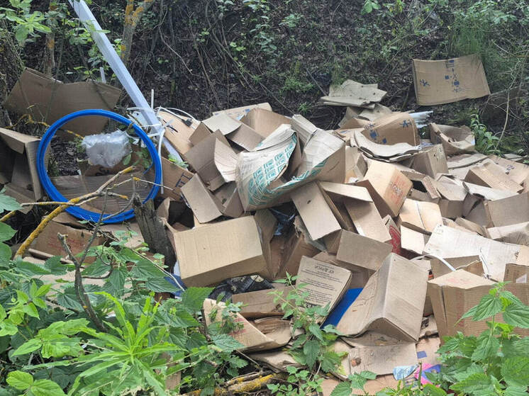 В Волжском районе выявлена нелегальная свалка