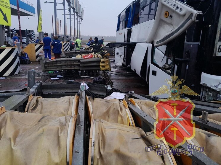 Полицейские Тульской области сообщили о пострадавших на трассе М-4 «Дон»