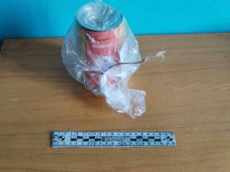 Житель Лунинского района хранил найденный 15 лет назад порох без разрешения