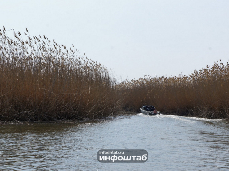 Пожилой астраханец на моторной лодке погиб, столкнувшись с буксиром