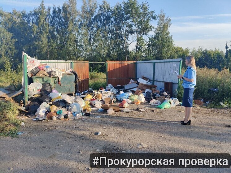 В Донском начата прокурорская проверка из-за переполненных мусорных контейнеров