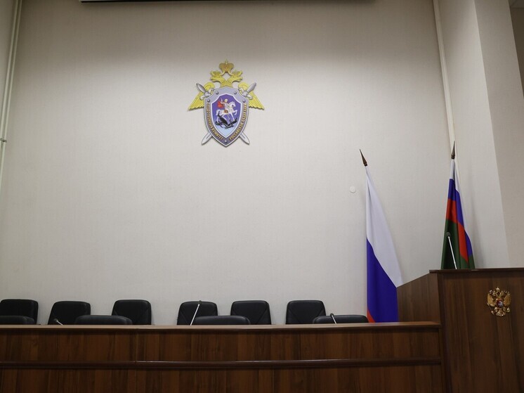 Бастрыкин поручил проверить главу СУ СКР по Челябинской области