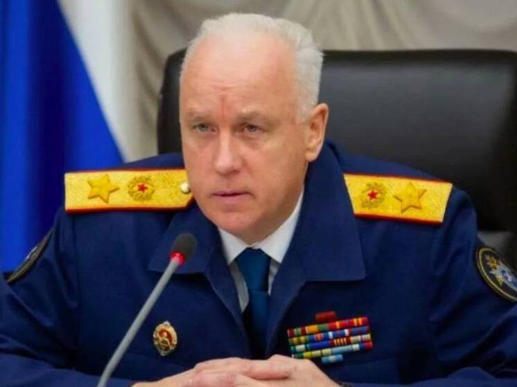 Следком возбудит дело после избиения девочки в Новосибирске
