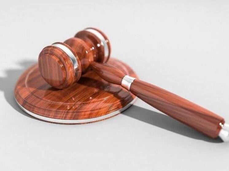 В Новосибирске мужчина пойдёт под суд за «чужой» лес