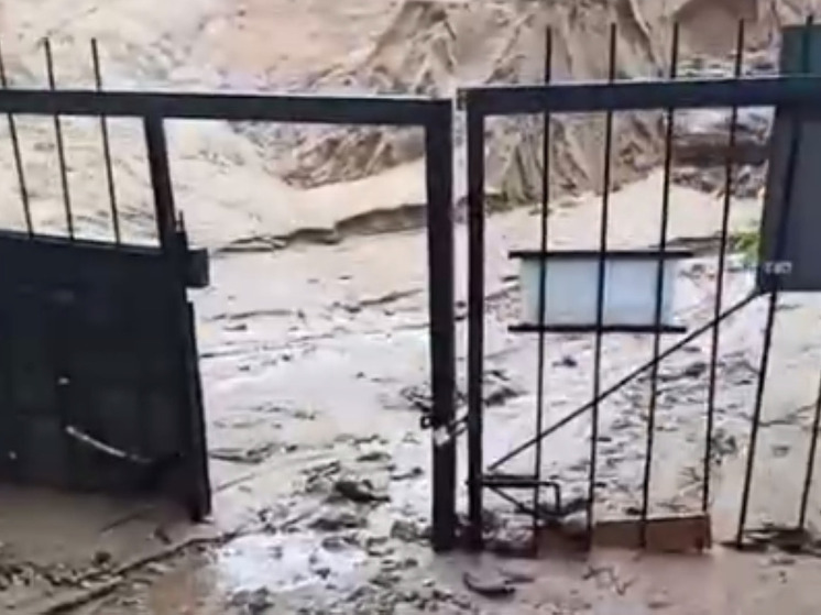 После проливных дождей песчаная жижа поглотила дворы подмосковного СНТ