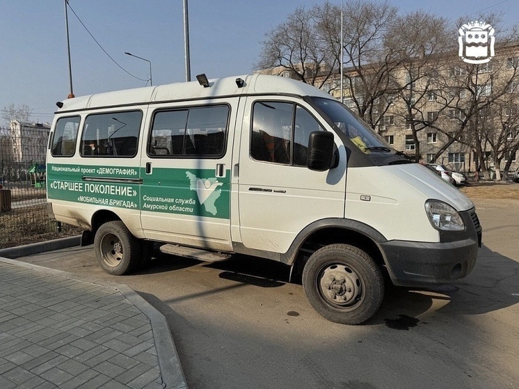 «Мобильные бригады» помогли почти 2800 пожилым амурчанам за 7 месяцев