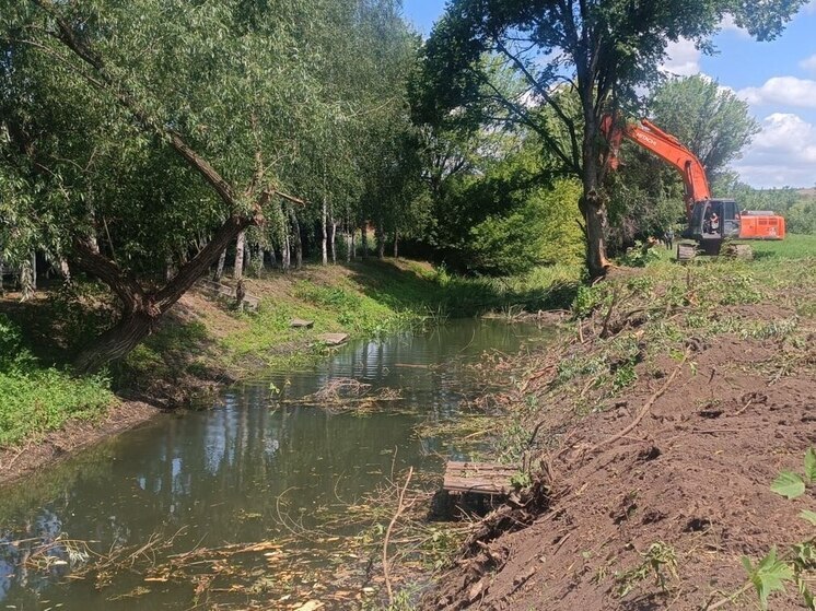 Больше половины работ по расчистке двух участков реки Лугань в Первомайском округе уже выполнено