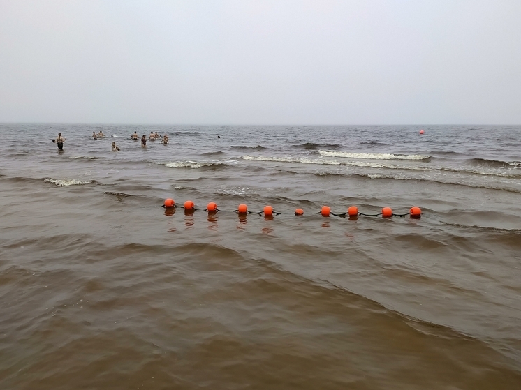 Образ Богородицы с таинственной надписью появился на кубанском пляже после шторма