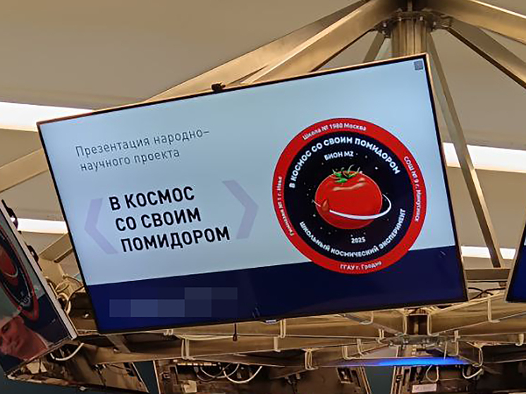 Школьники &laquo;помидорных столиц&raquo; России и  Белоруссии передали семена для отправки в космос