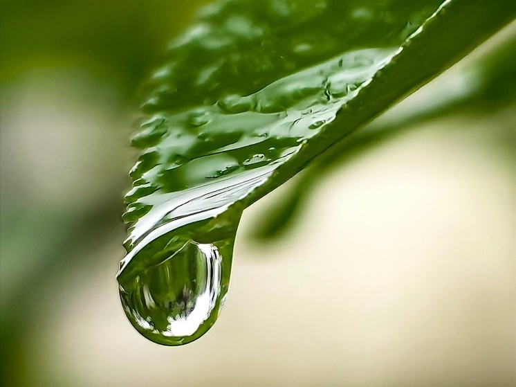 Синоптики предупредили о непогоде в Хакасии