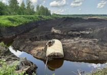В Кировском районе пресекли незаконную деятельность двух компаний, занимающихся вывозом опасного и неопасного мусора: ООО «Марта — Модуль 8» и ООО «Транс — Эко», сообщил Online47. Это произошло после обращения губернатора Александра Дрозденко в адрес начальника ГУ МВД России по Петербургу и Ленобласти.