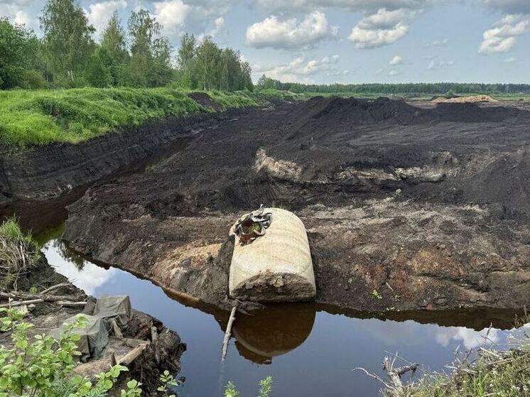В Кировском районе пресекли незаконную деятельность двух компаний, занимающихся вывозом опасного и неопасного мусора: ООО «Марта — Модуль 8» и ООО «Транс — Эко», сообщил Online47. Это произошло после обращения губернатора Александра Дрозденко в адрес начальника ГУ МВД России по Петербургу и Ленобласти.