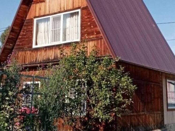  Новосибирские дачники теряют урожай картофеля из-за ливней и гнили