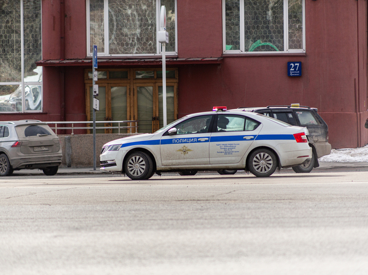 Новосибирца держат в СИЗО за пять срубленных сосен и взятку инспектору ГИБДД