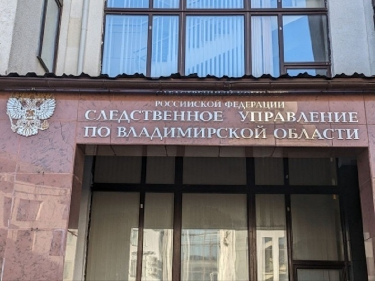 В роддоме Гусь-Хрустального скончалась роженица