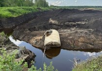 В Петербурге пресекли незаконную деятельность двух компаний, которые развернули свалку строительных отходов рядом с мемориалом. «Невский пятачок» известен тем, что в годы ВОВ там велись ожесточенные бои. Об этом рассказали в издании Online47.ru.