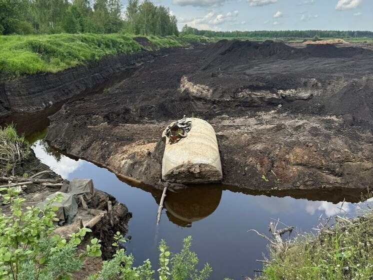 Незаконную свалку вблизи мемориала «Невский пятачок» ликвидировали в Петербурге