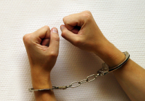 Адвокат заслуженного тренера по каратэ, обвиненного в педофилии, пытался сыграть на его заслугах перед спортом