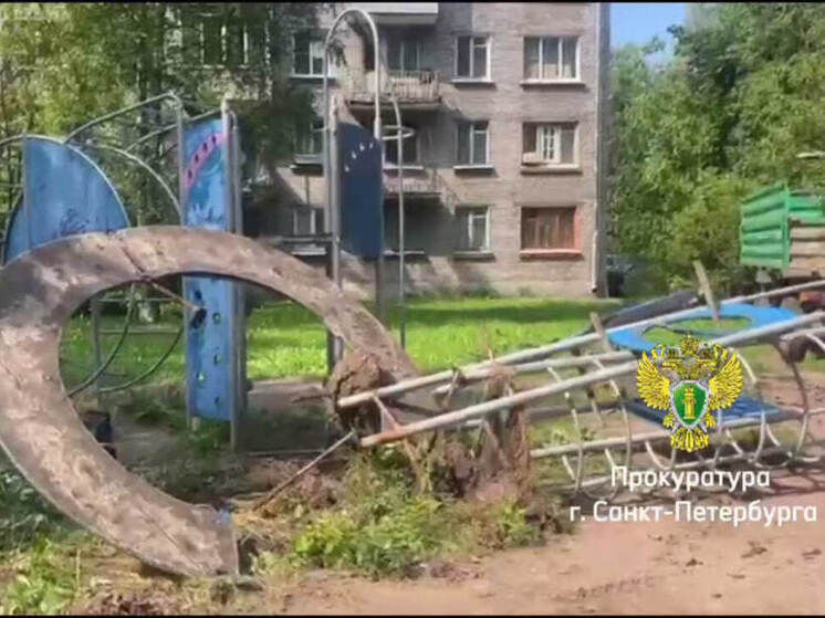 Опасную детскую площадку убрали в Красногвардейском районе Петербурга