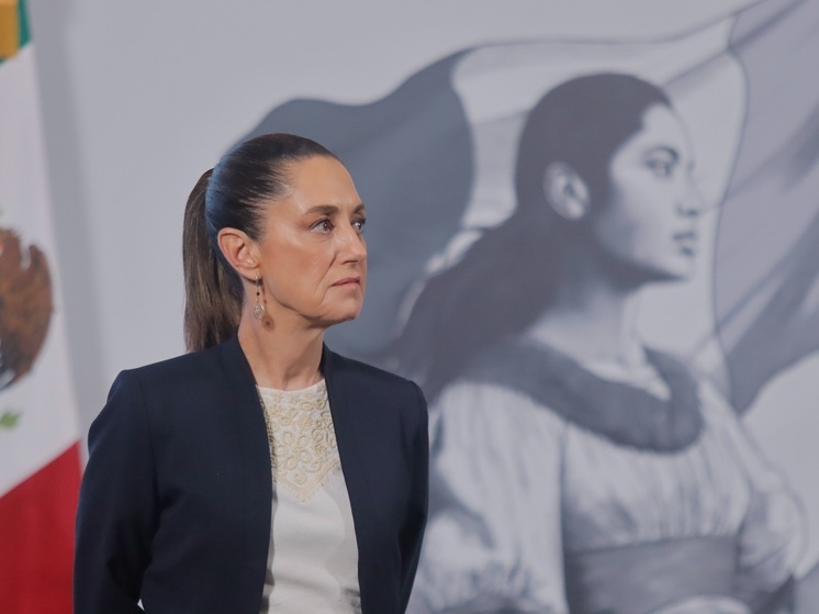 Президент Мексики Шейнбаум: Трамп предлагал ввести войска в страну