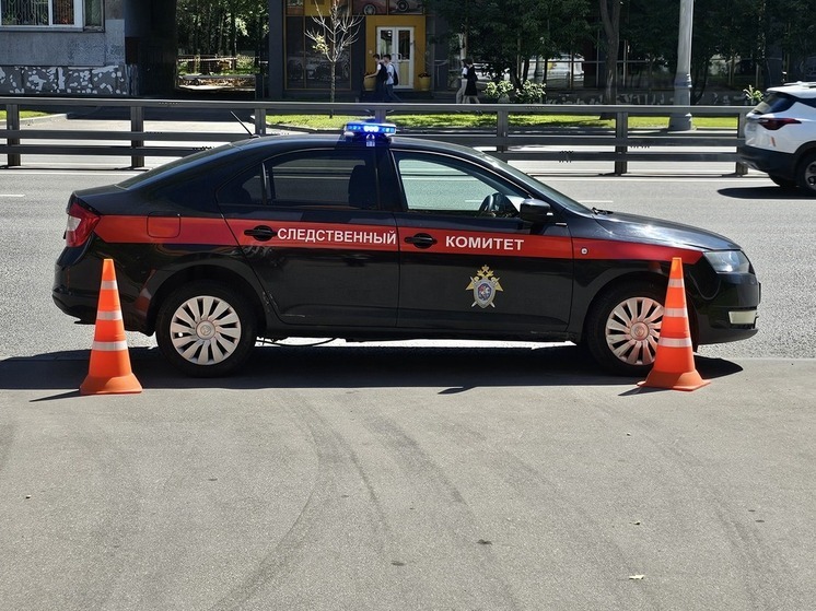 СК завел дело после смерти москвича, лечившегося в частной клинике