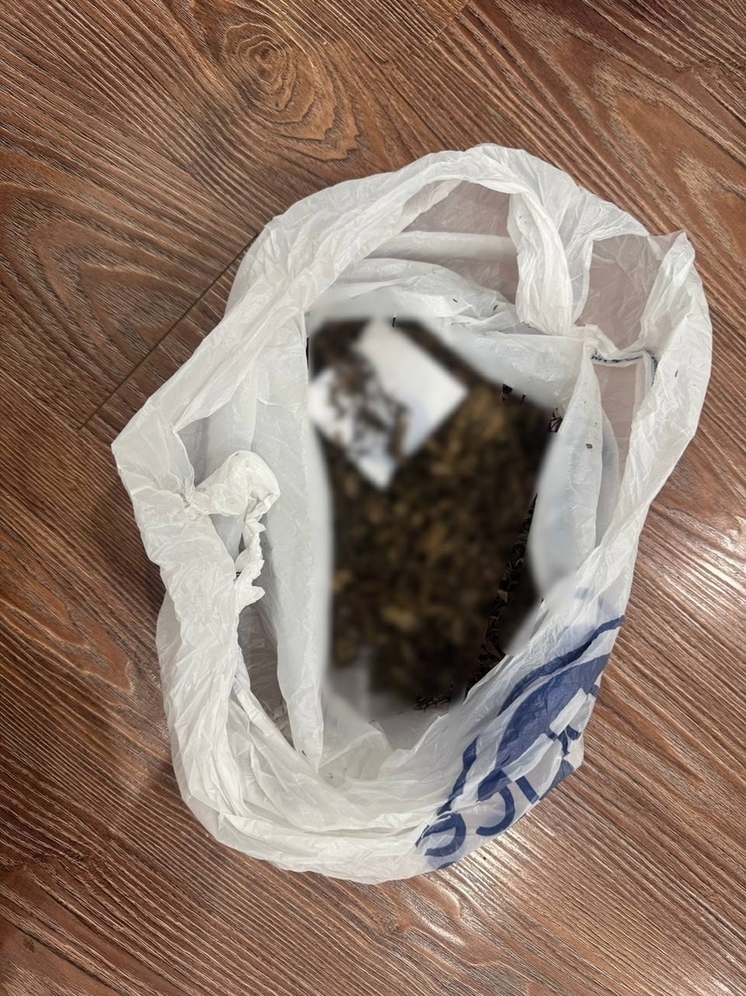 В Туве полицейские, прибыв по вызову к дебоширам, обнаружили у них еще и марихуану