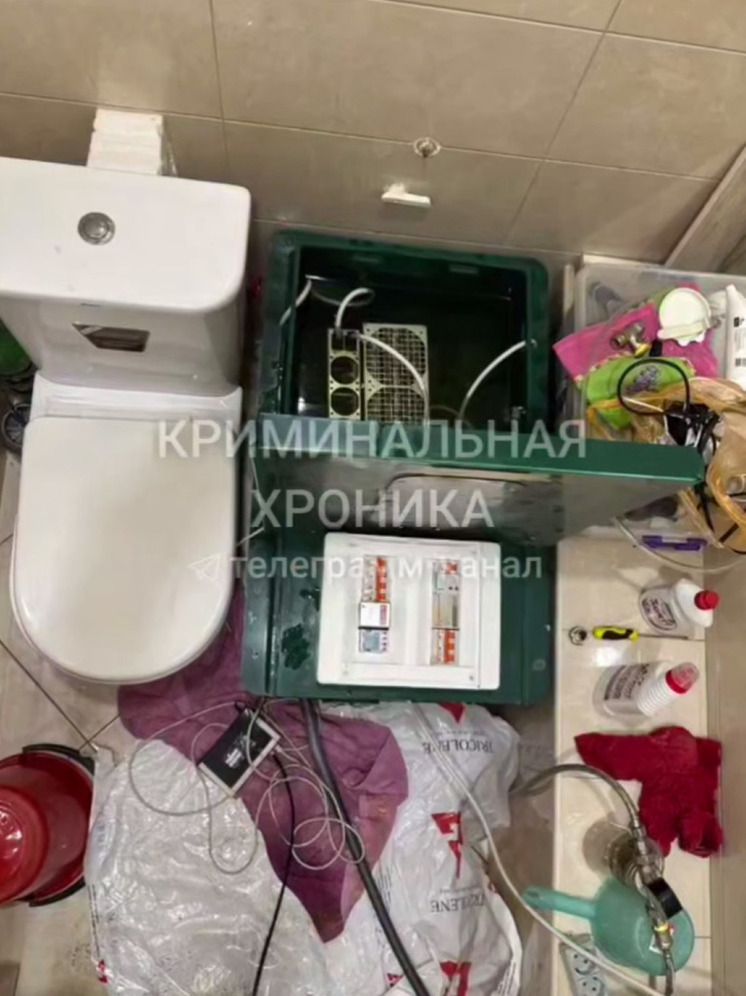 В Махачкале пресекли деятельность майнинг-ферм в нескольких квартирах