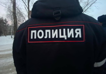 Сотрудники УЭБиПК УМВД России по Омску пресекли деятельность преступной группы