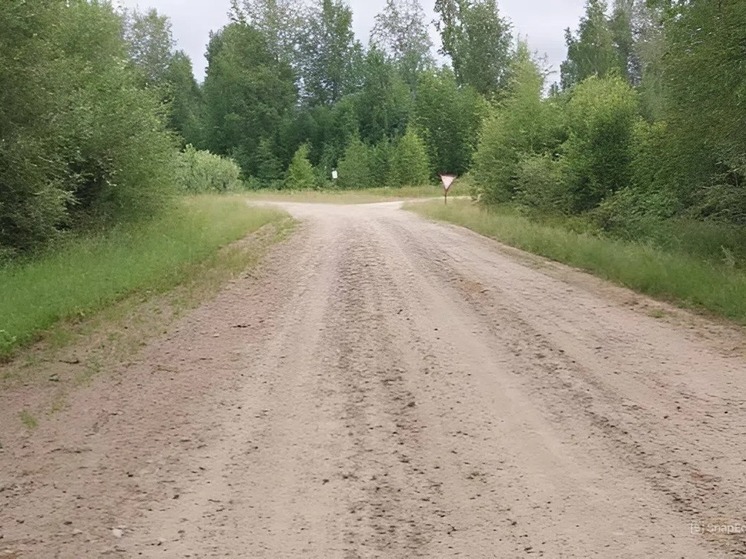 В селе Палочка Томской области отремонтированы дороги