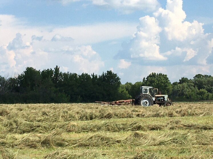 В Воронеже распространяют ложный приказ об изъятии урожая