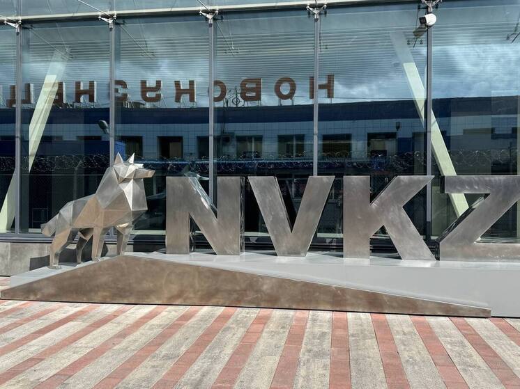 Кузбасс выбирает имя для талисмана аэропорта Новокузнецка