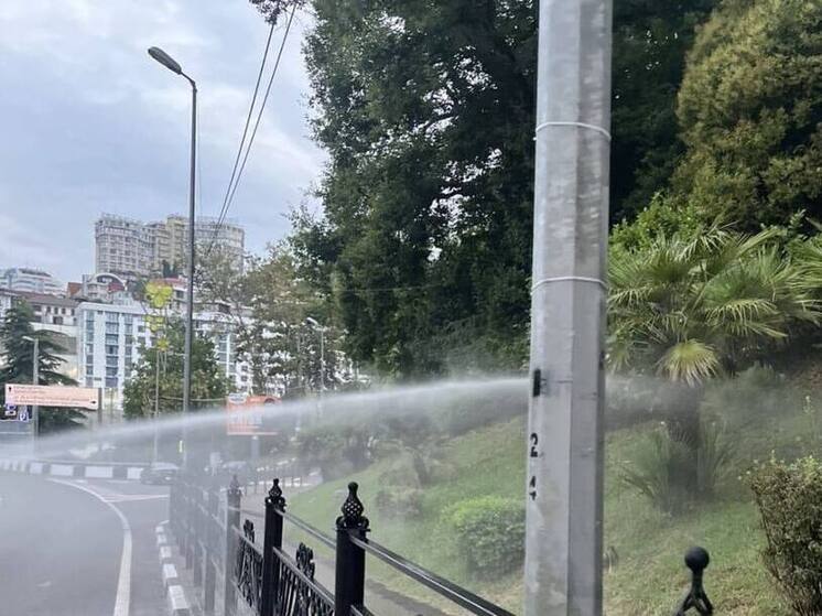 Из-за жары в Сочи подрядчики приняли решение чаще поливать зелёные насаждения