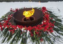Дурак и вандал – он и во Франции дурак и вандал