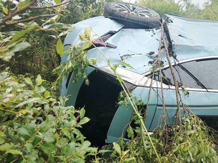 В Батецком округе иномарка с пенсионером угодила в кювет и перевернулась